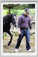 natura_e_cavallo162