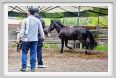 natura_e_cavallo174