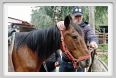 natura_e_cavallo016