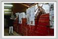 natura_e_cavallo189
