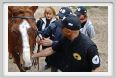 natura_e_cavallo017