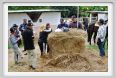 natura_e_cavallo196