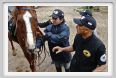 natura_e_cavallo018