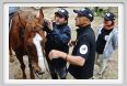natura_e_cavallo021