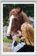 natura_e_cavallo023