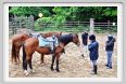 natura_e_cavallo024