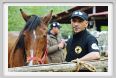 natura_e_cavallo032