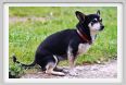 natura_e_cavallo034