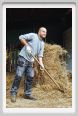 natura_e_cavallo013