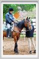 natura_e_cavallo040