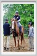 natura_e_cavallo041