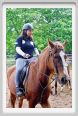 natura_e_cavallo043