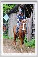 natura_e_cavallo044