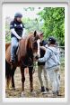 natura_e_cavallo054