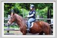 natura_e_cavallo056