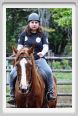 natura_e_cavallo057