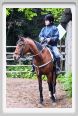natura_e_cavallo063