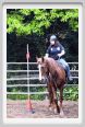 natura_e_cavallo065