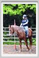 natura_e_cavallo066