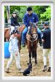 natura_e_cavallo075