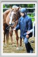 natura_e_cavallo077