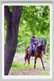 natura_e_cavallo080