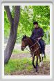 natura_e_cavallo081