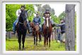 natura_e_cavallo083