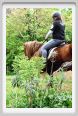 natura_e_cavallo084