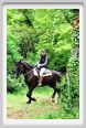 natura_e_cavallo086