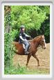 natura_e_cavallo088