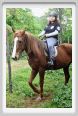 natura_e_cavallo091