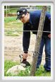 natura_e_cavallo093