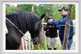natura_e_cavallo094