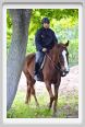 natura_e_cavallo095