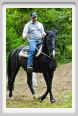 natura_e_cavallo098