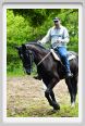 natura_e_cavallo099