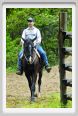 natura_e_cavallo100
