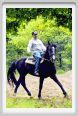 natura_e_cavallo104