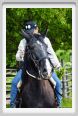natura_e_cavallo107