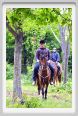 natura_e_cavallo109