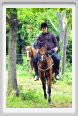 natura_e_cavallo110