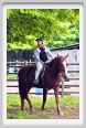 natura_e_cavallo111