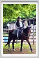 natura_e_cavallo115