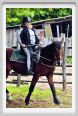 natura_e_cavallo120
