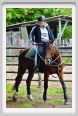 natura_e_cavallo122