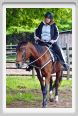 natura_e_cavallo128