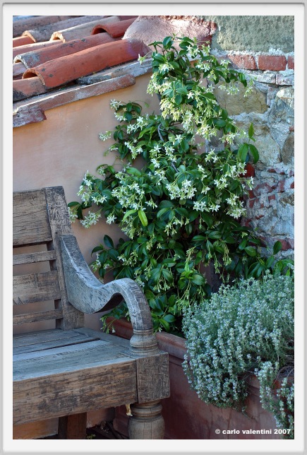 riva_hotel111