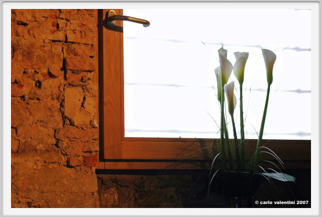 riva_hotel034