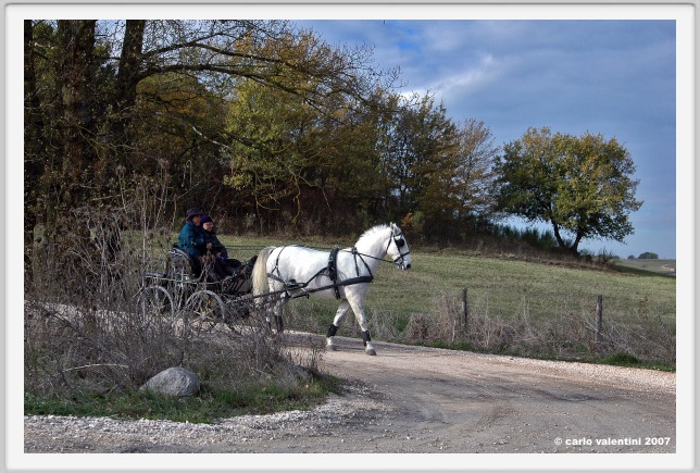 sant_elia037